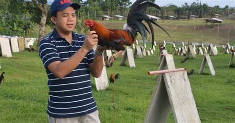 Champion Gamefowl Breeders You Should Know .
